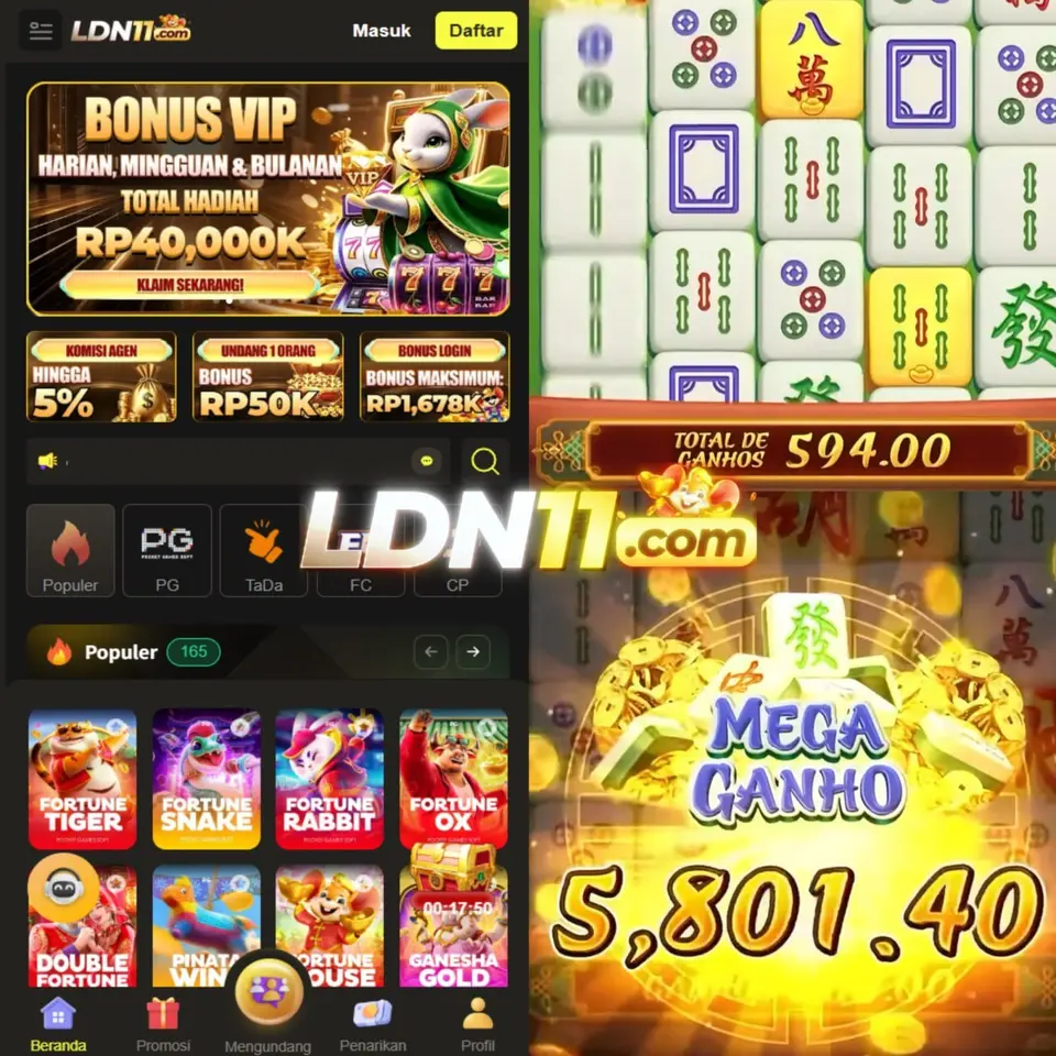ldn11 Resmi